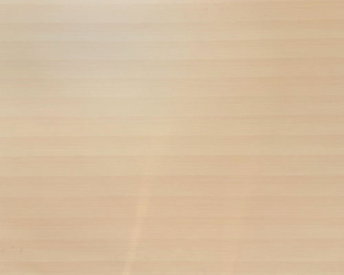 LMN 73 SF - SEA BEECH