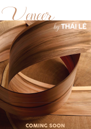 LAMINATE (SẮP RA MẮT)