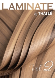 LAMINATE VOL 1