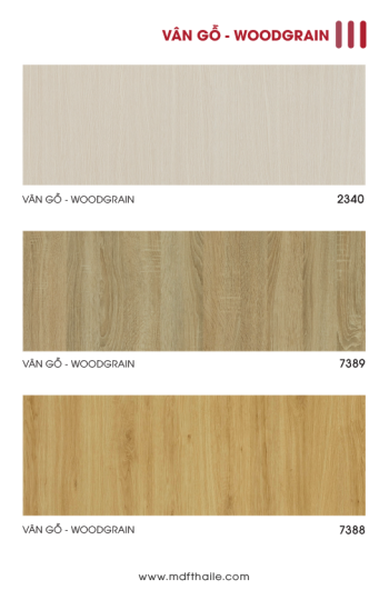 LAMINATE (SẮP RA MẮT)