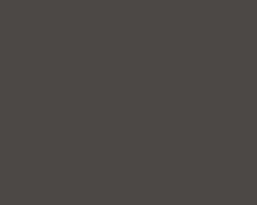 29 PMT - PEBBLE GREY MATTE
