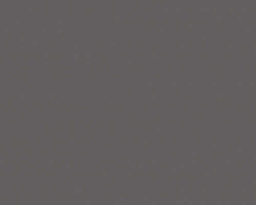 LMN - 22 SF - SMOKY