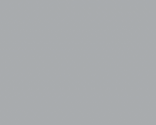 LMN - 25 SF - SMOKY GRAY
