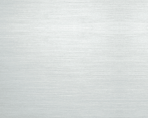 LMN 92 - SILVER BRUSH