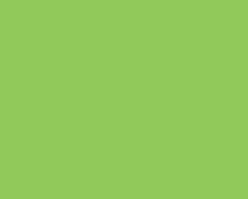 TL 177 - OLIVE GREEN