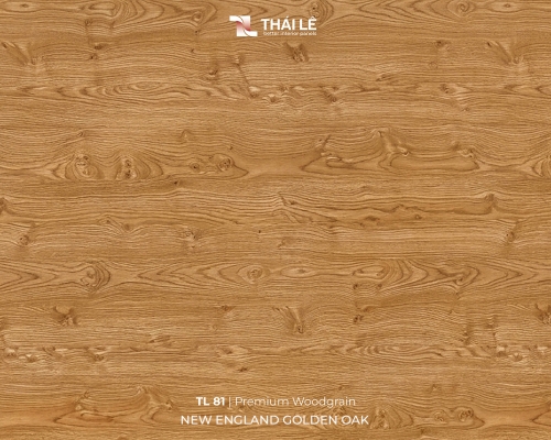 TL 81 - NEW ENGLAND GOLDEN OAK