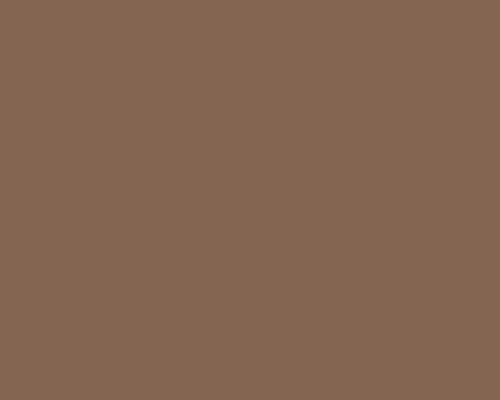 TL DS 352 - COFFEE BROWN
