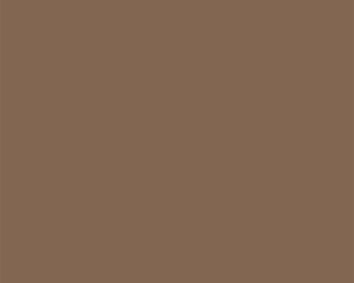 TL DS 352 - COFFEE BROWN