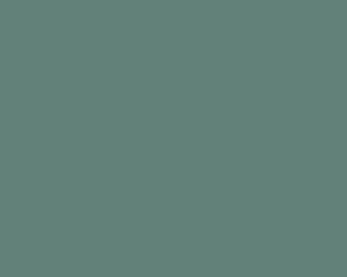 TL DS 357 - EUCALYPTUS GREEN
